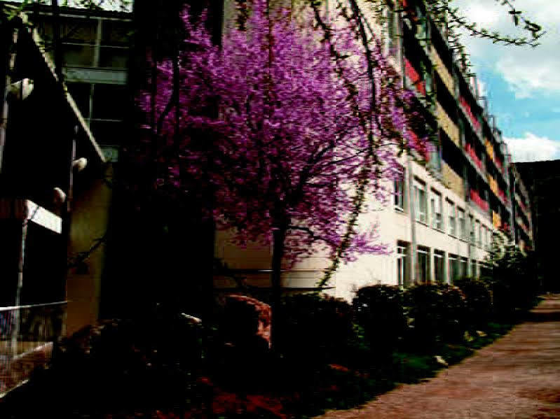 Hotel Balneario Sicilia Jaraba Exterior foto